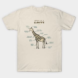 Anatomy of a Giraffe T-Shirt